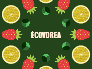 Art Direction & Brand Design for an eco-friendly food app 🥕