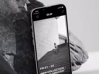 DLM