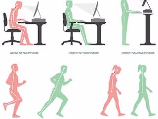 Importance Of Good Posture