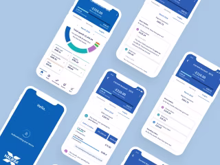Spending Insight