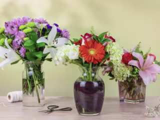 Best Easter Flower Delivery Services of 2022 — The Spruce