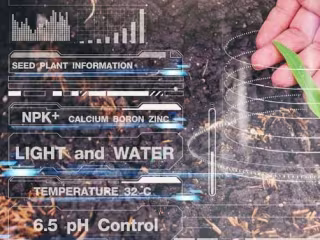 Smart Irrigation Optimization: Enhancing Agricultural Efficiency