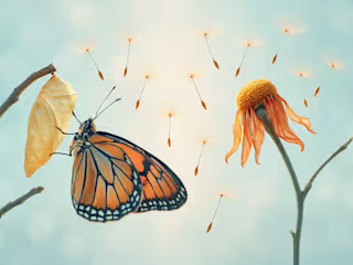 Saying No to Grow: Why Dropping a Client Can Boost Your Business