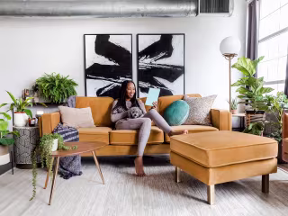 Albany Park - 430% Growth in Revenue