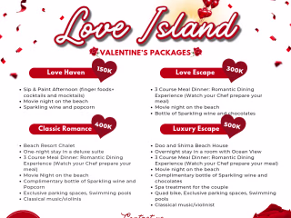 Valentine's Vacation Flyer Designs