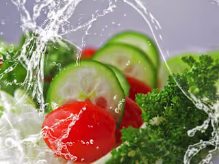 Food Hygiene Certification Content Creation