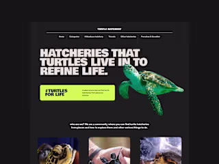 Local Turtle Hatchery Website Design