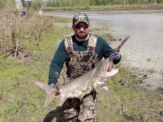 Montana Paddlefish: Best Snagging Spots and Tips