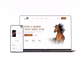 UX case study (Live project)