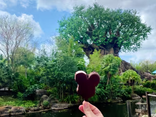 Disney Agent Advertisement