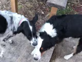 The Playdate - YouTube