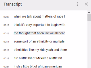 YouTube Video Transcription