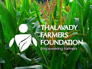 Thalavady Farmers Foundation - Branding 