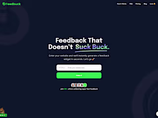 Developing an AI-Powered Tool for Gathering Customer Feedback