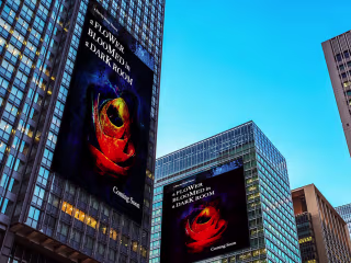 A Movie Poster And Street Banner 💫✨