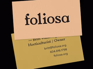 Foliosa 