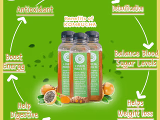 Kombucha (Contract)