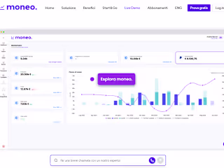 moneo- financial co-pilot for SMEs