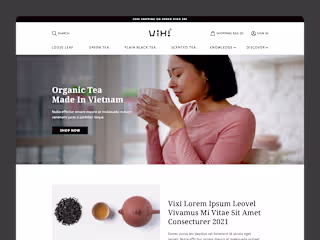 Website Design | ViXi