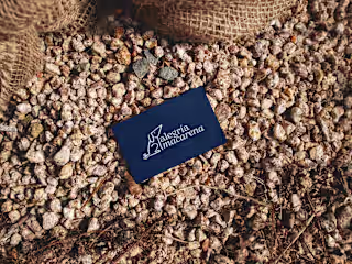 🦮Alegría Macarena - Pet Accessories with a Human Touch.