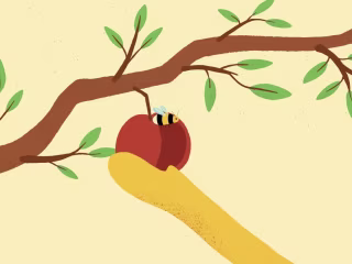 Creating the framework for a purpose-led food animation
