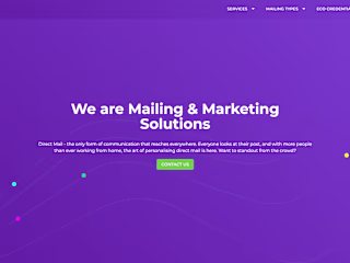 Vue.js Website Development