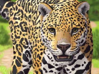 Animal Illustrations Portfolio