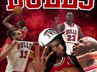 Chicago Bulls Legacy 