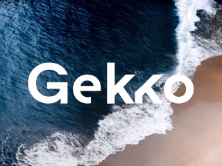 Gekko Logo & Landpage Design