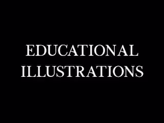 Educational Illustrations
