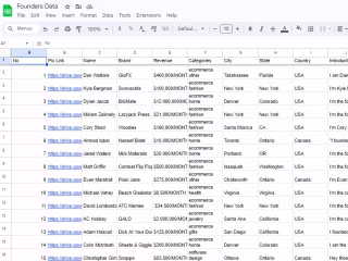 Website data entry