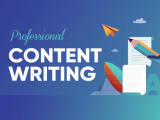 Content Writing Campaign for Startup Y