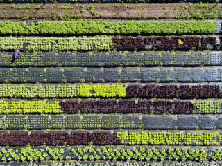 Sustainable Living: From Ambition To Action