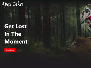 Apex Bikes - Duplicate