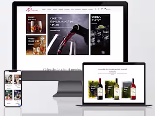 Ecommerce Website Development