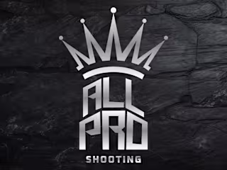 All Pro | Logo Creation