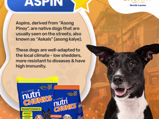 Aspin 