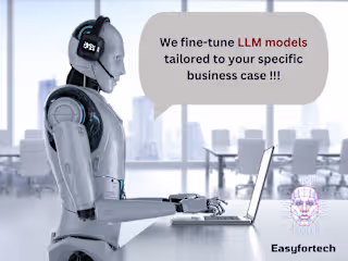 Expert Fine-Tuning Services for Large Language Models (LLMs)