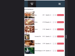 eCommerce website 