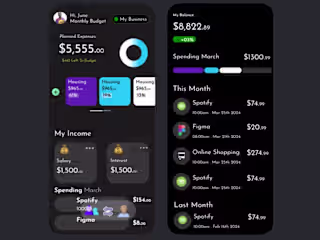 Designer finance app which enable monthly tracking