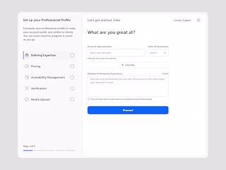 Professional Onboarding Flow