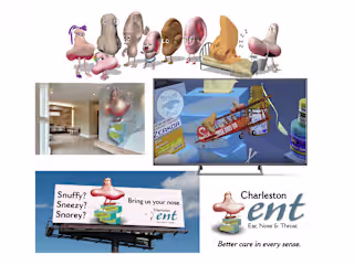 Charleston ENT "Talking Noses and Ears"