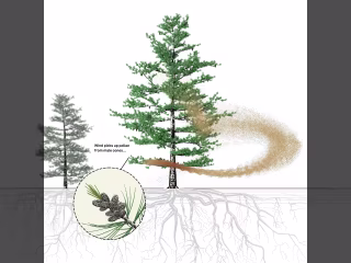 Bayard Cutting Arboretum Tree Science Loop