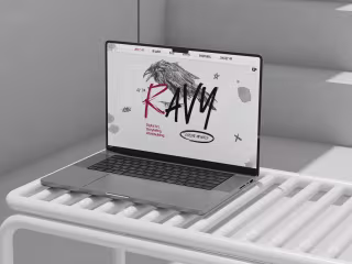 Custom website design and development for Ravy