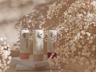 High End Products Renders