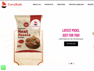 Ecommerce Website