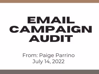 Email Audit