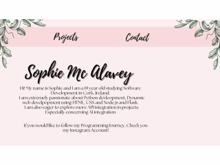 Portfolio Website Design