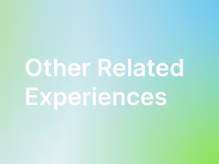 Other Previous Experiences 
