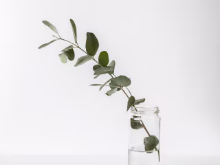 Brand Identity for Holistic Studio